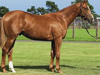 �v���Z���^�̌���